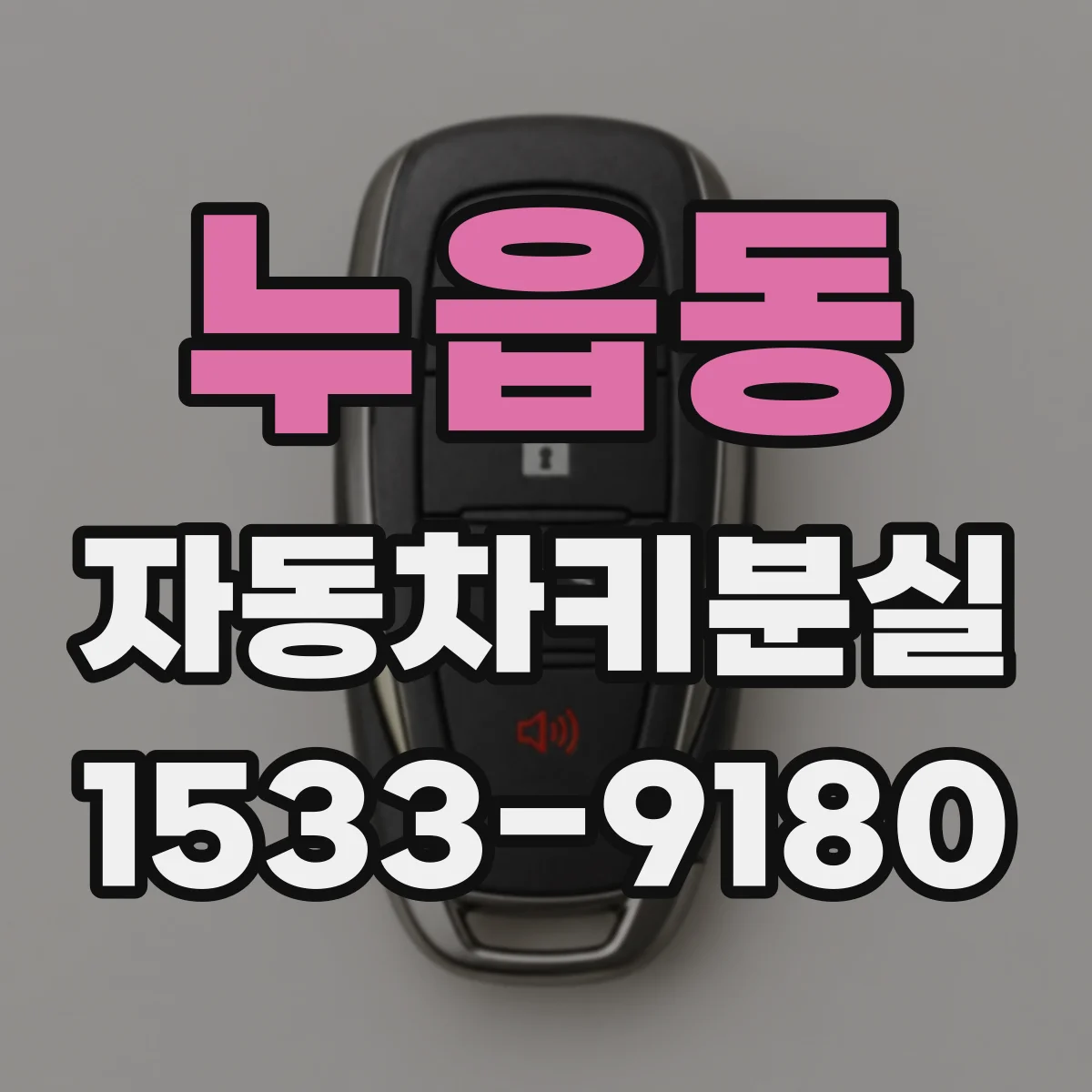 누읍동 자동차키분실