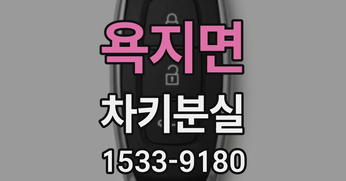 욕지면 차키분실