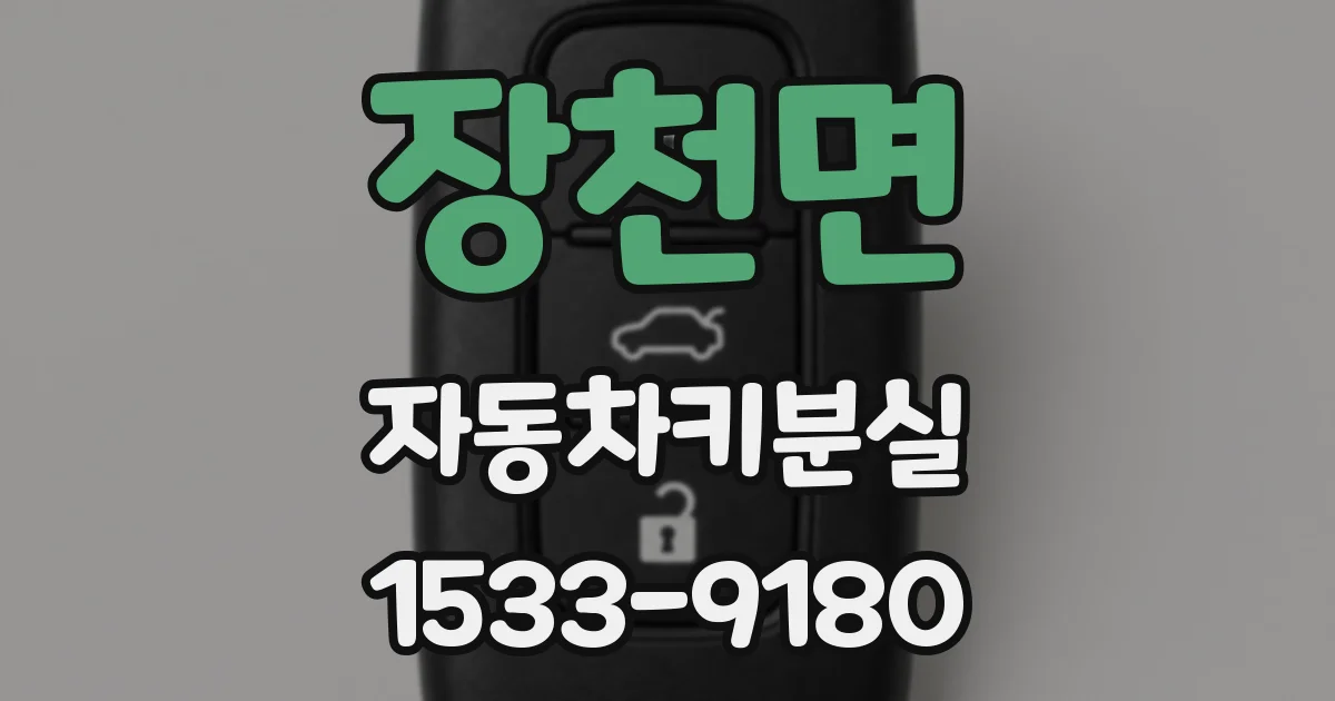 장천면 자동차키분실