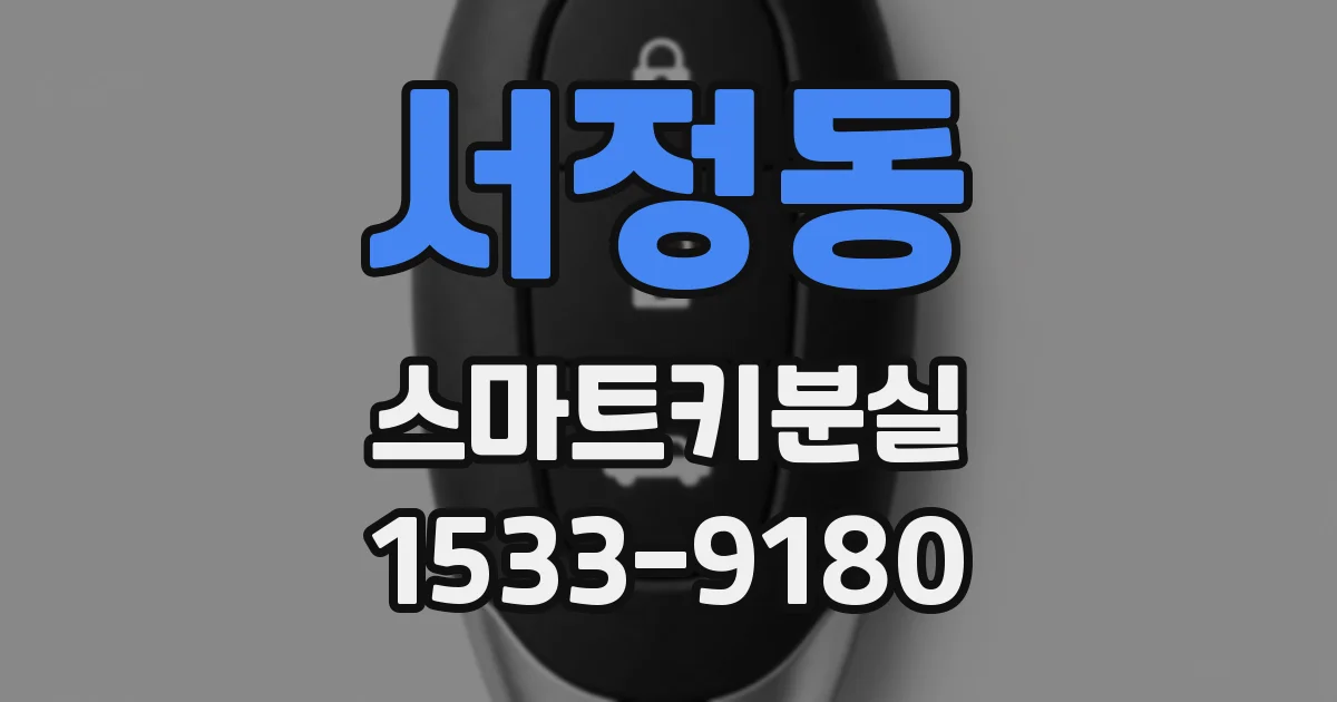 서정동 스마트키분실