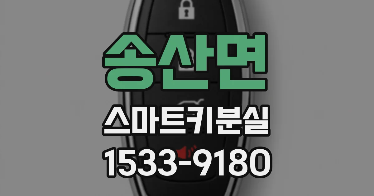 송산면 스마트키분실