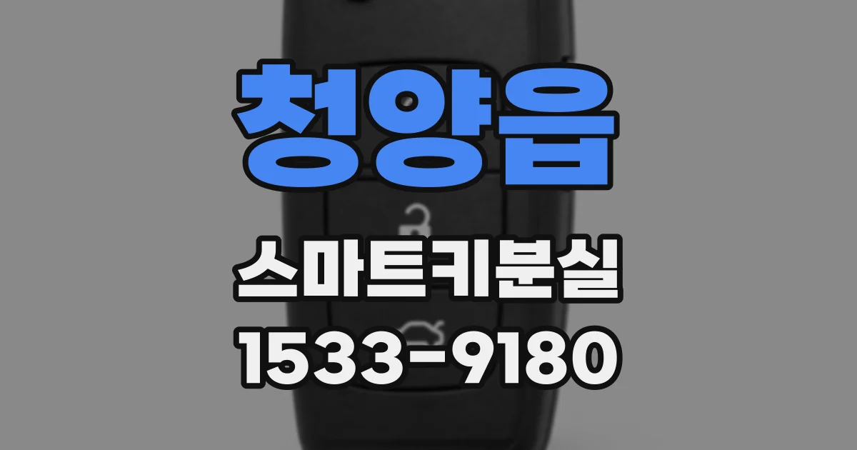 청양읍 스마트키분실