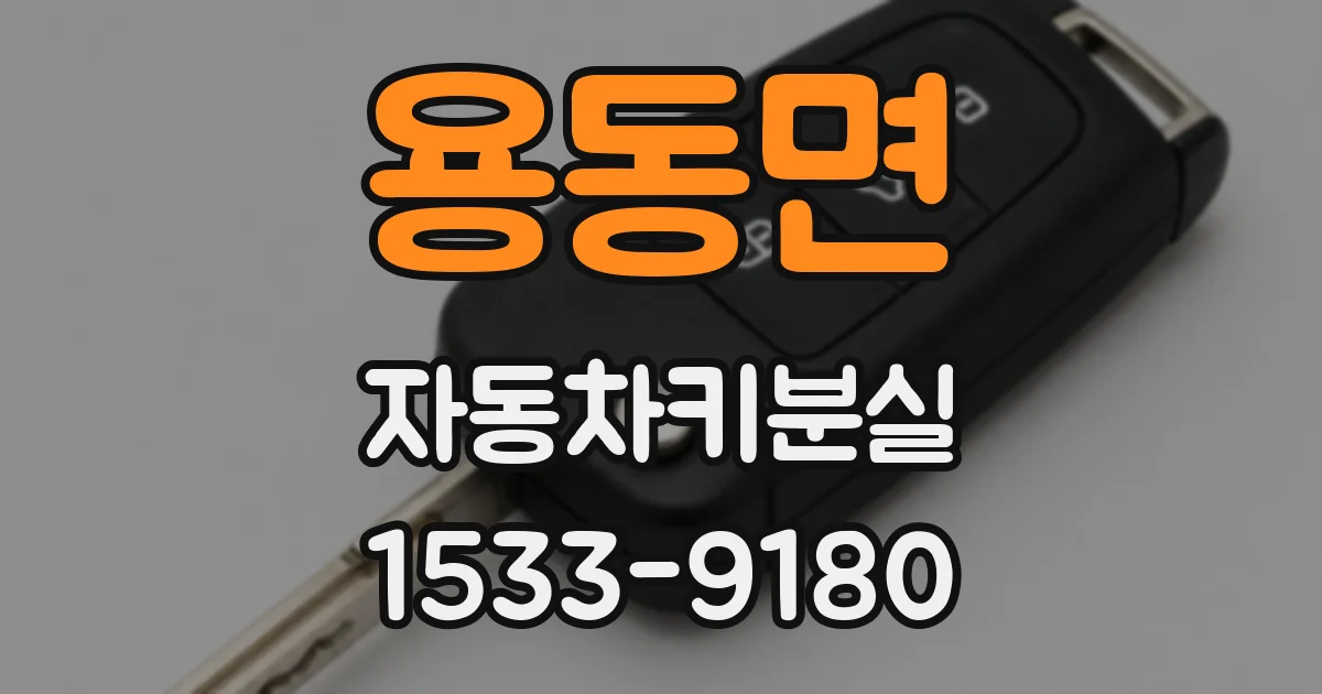 용동면 자동차키분실