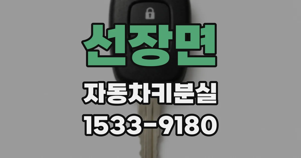선장면 자동차키분실