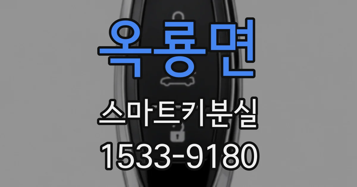 옥룡면 스마트키분실