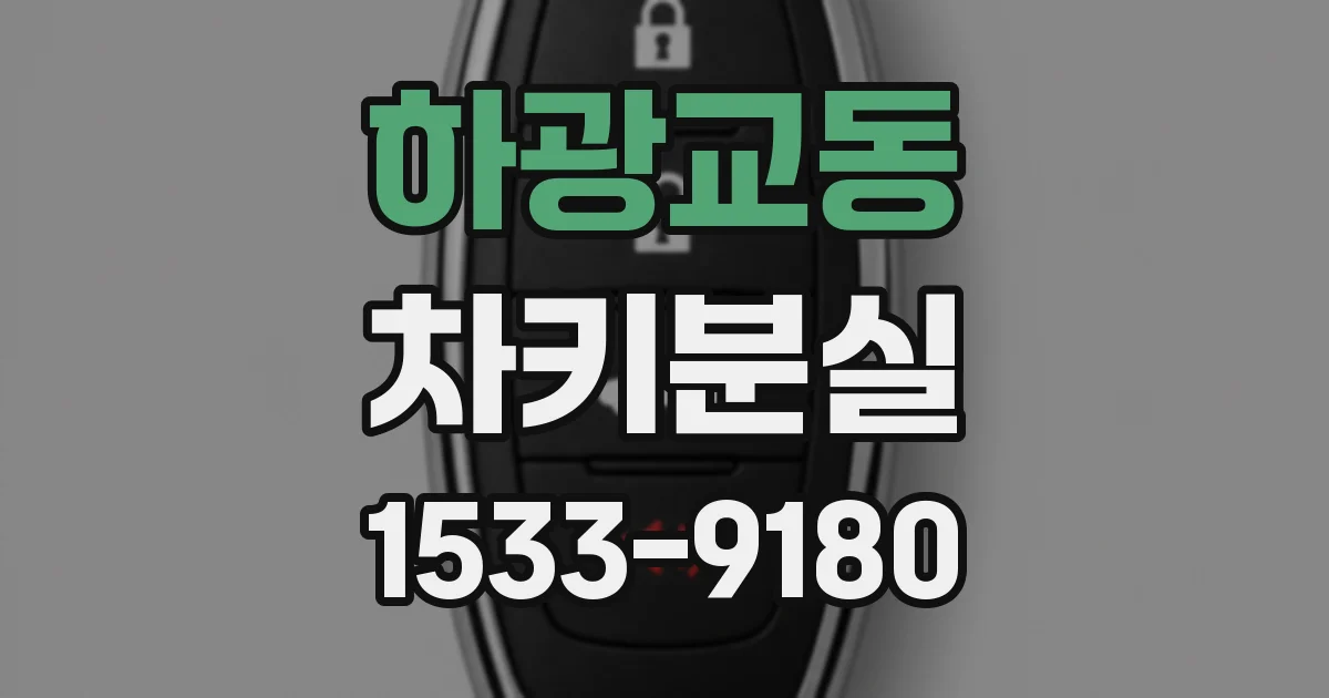 하광교동 차키분실