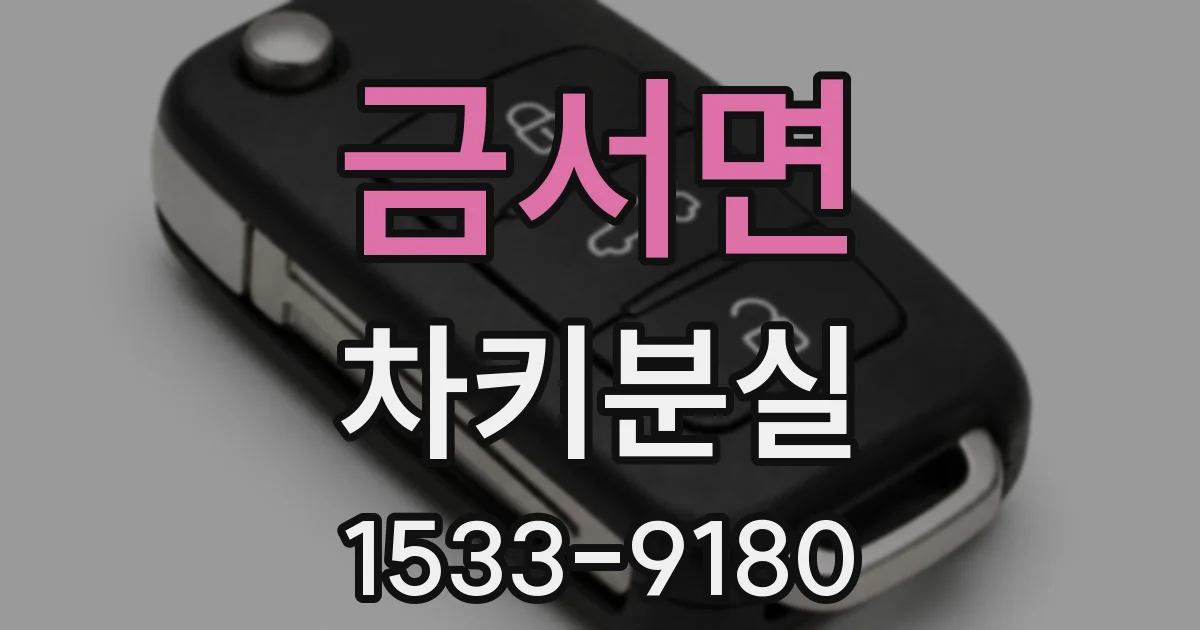 금서면 차키분실