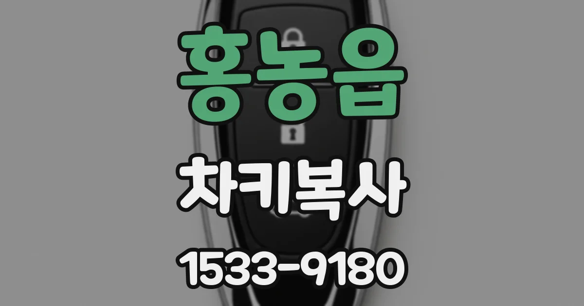 홍농읍 차키복사