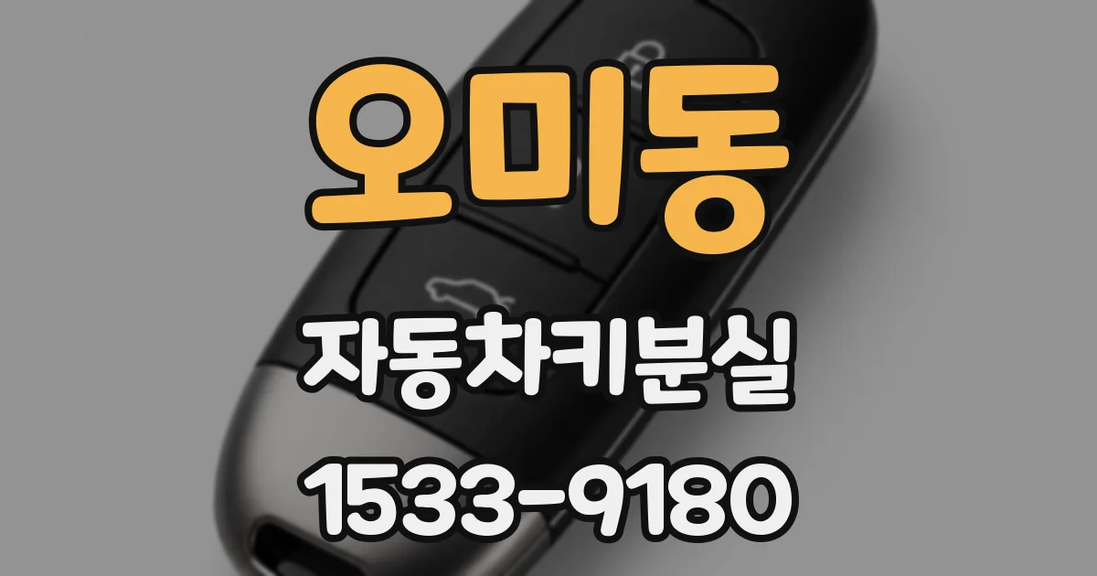 오미동 자동차키분실