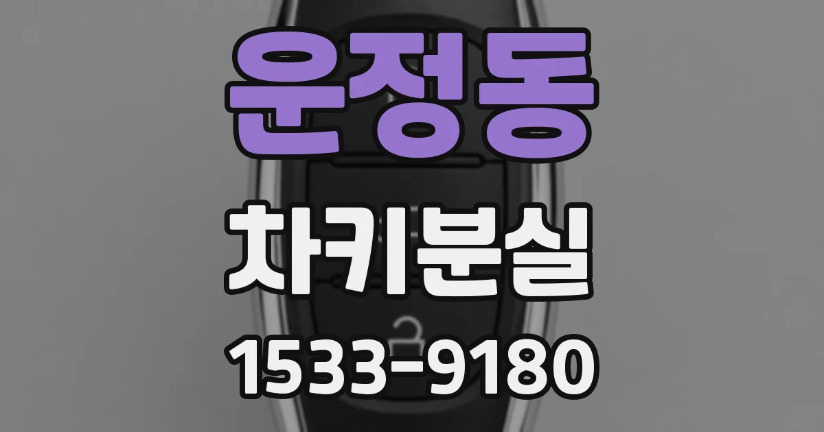 운정동 차키분실