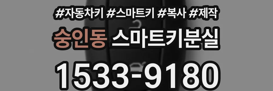 숭인동 스마트키분실
