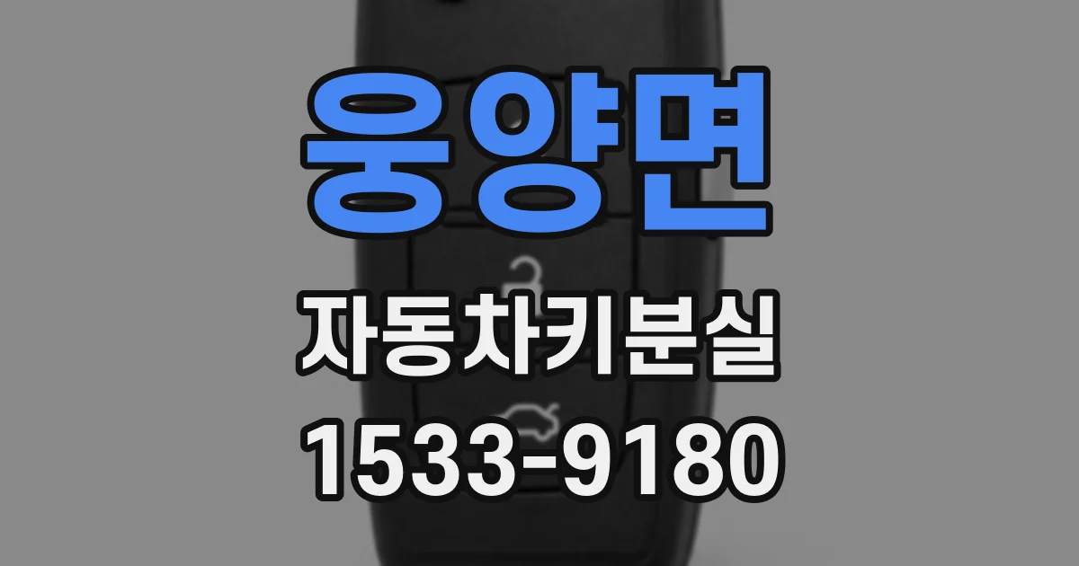 웅양면 자동차키분실