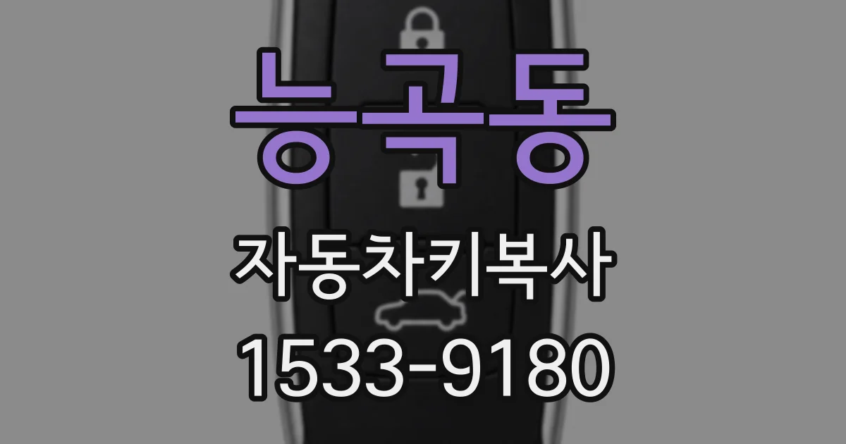 능곡동 자동차키복사