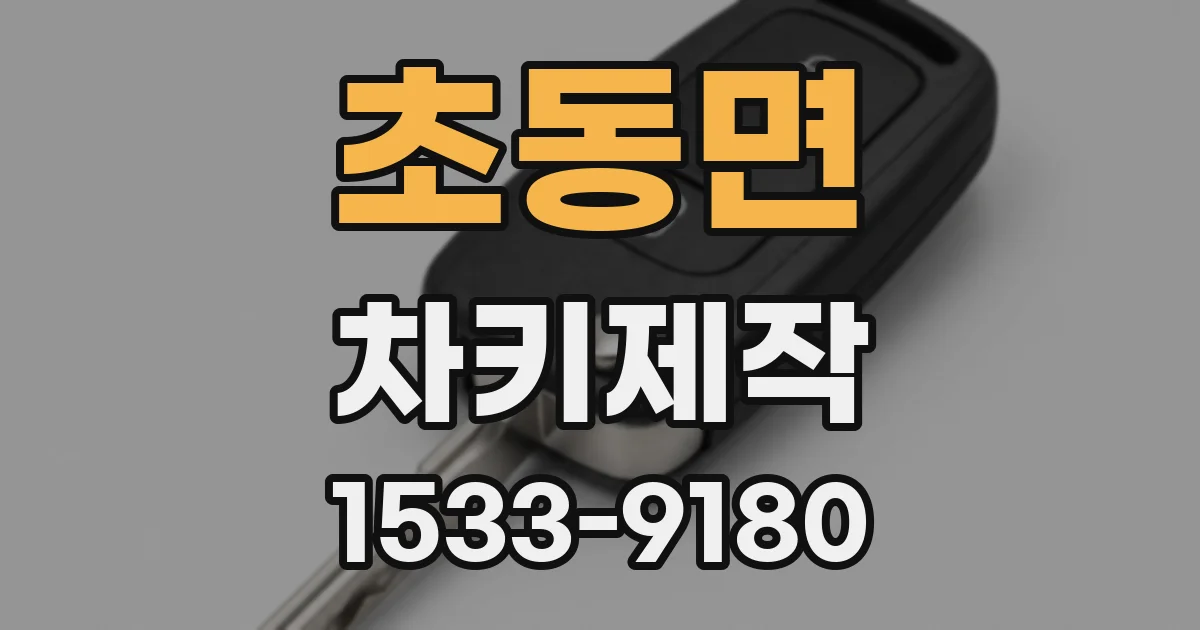 초동면 차키제작