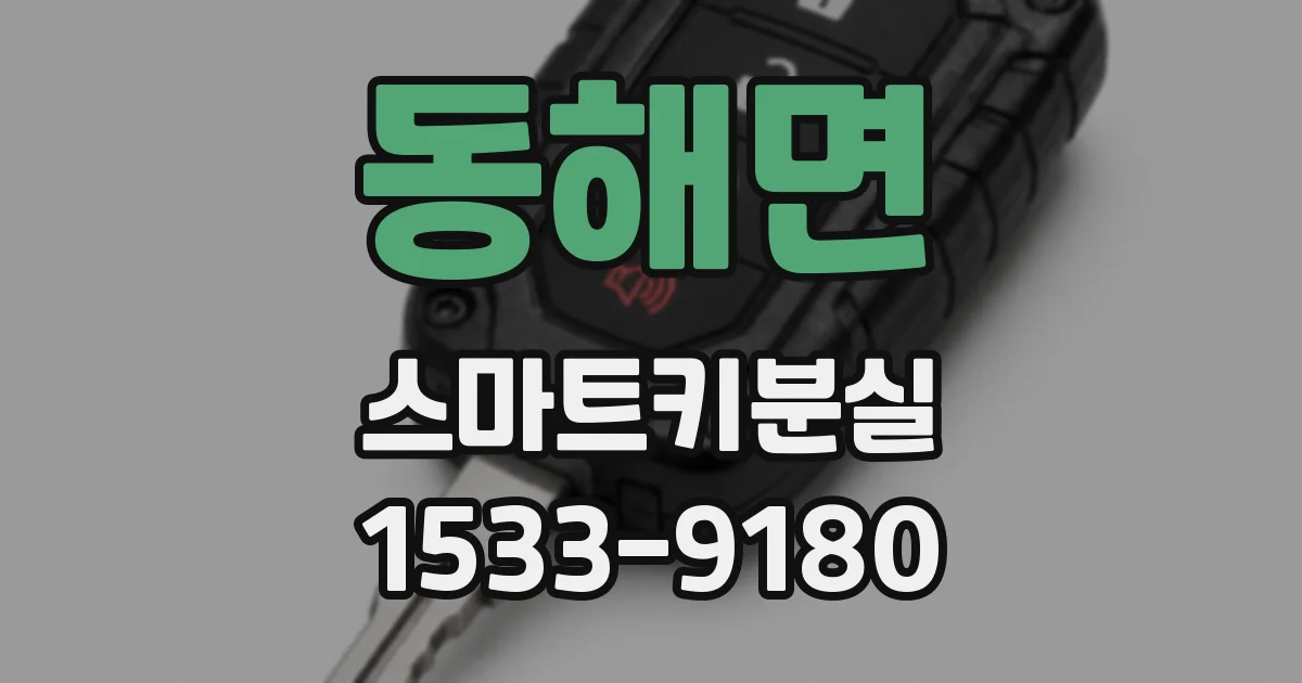 동해면 스마트키분실