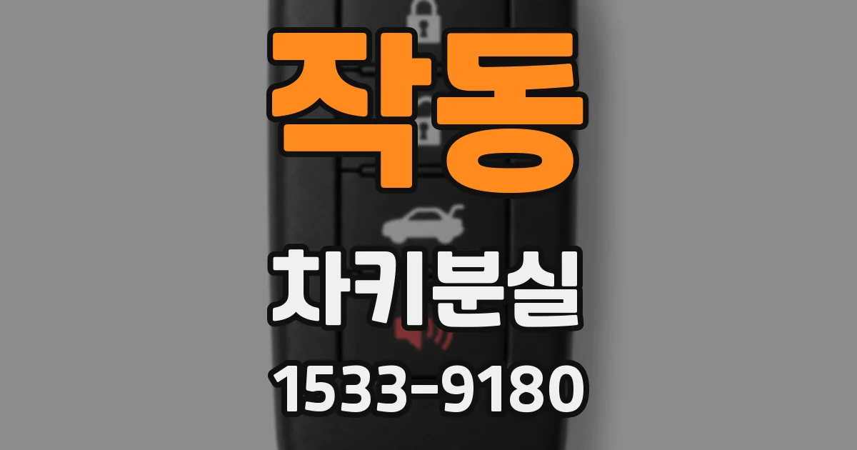 작동 차키분실