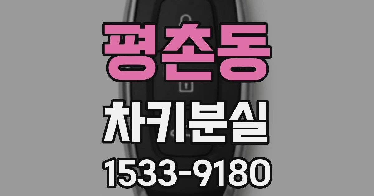 평촌동 차키분실