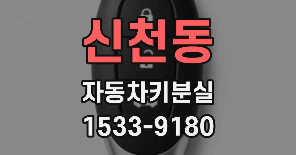 신천동 자동차키분실