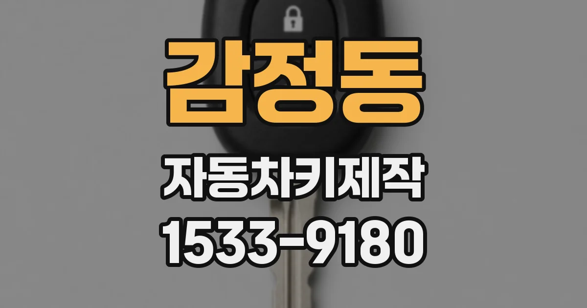 감정동 자동차키제작