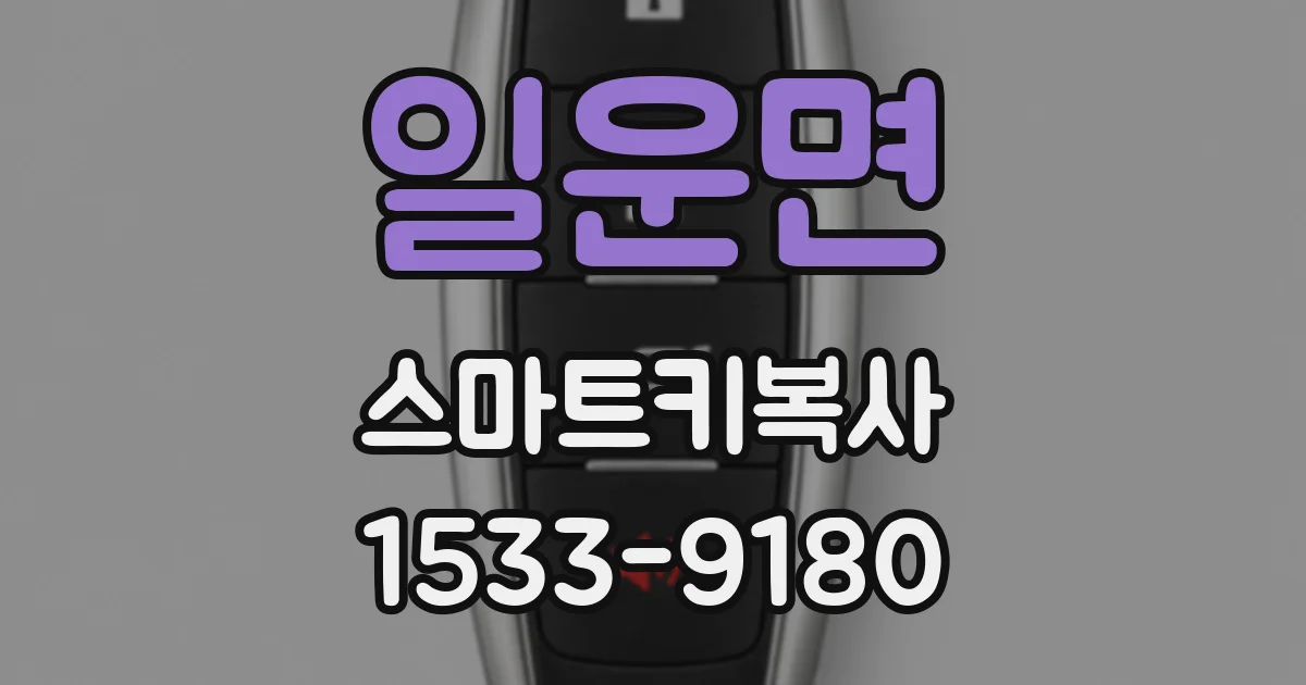 일운면 스마트키복사