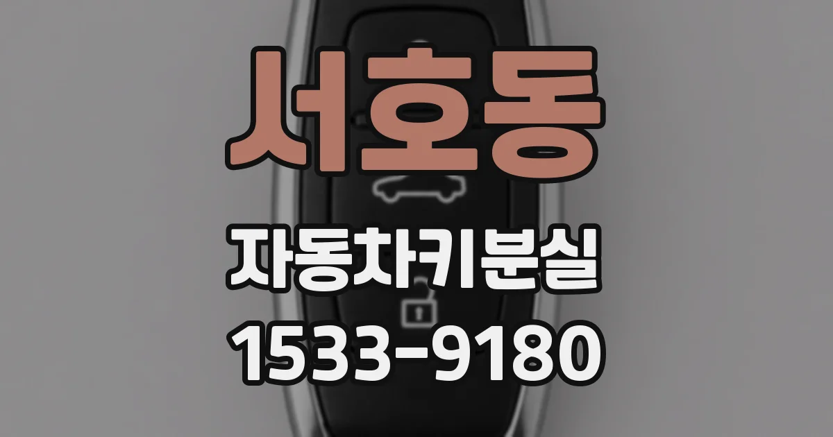 서호동 자동차키분실