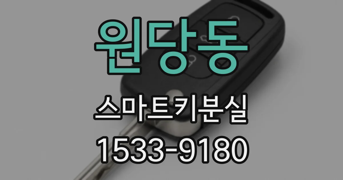 원당동 스마트키분실