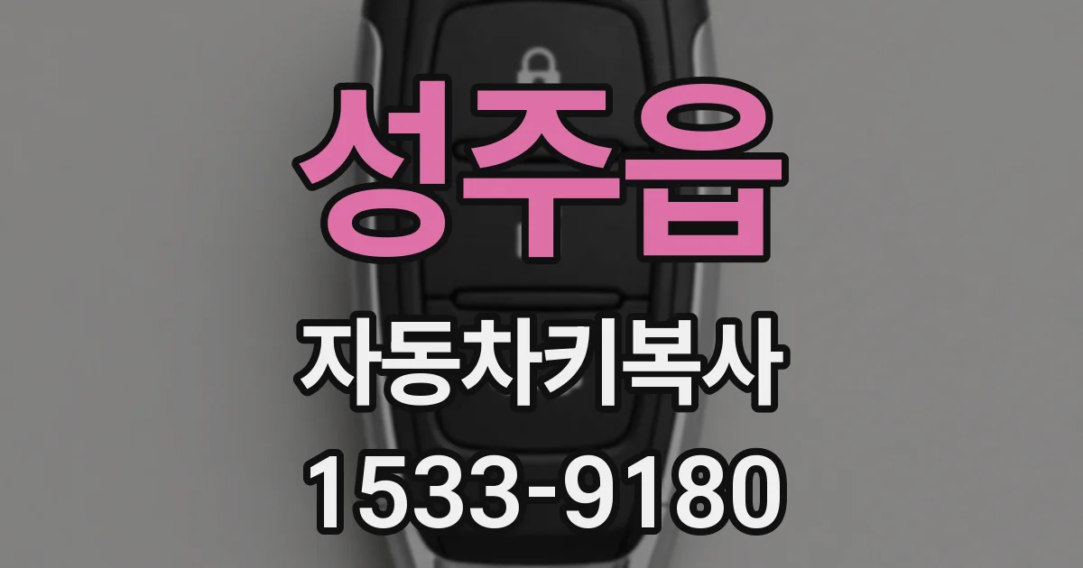 성주읍 자동차키복사