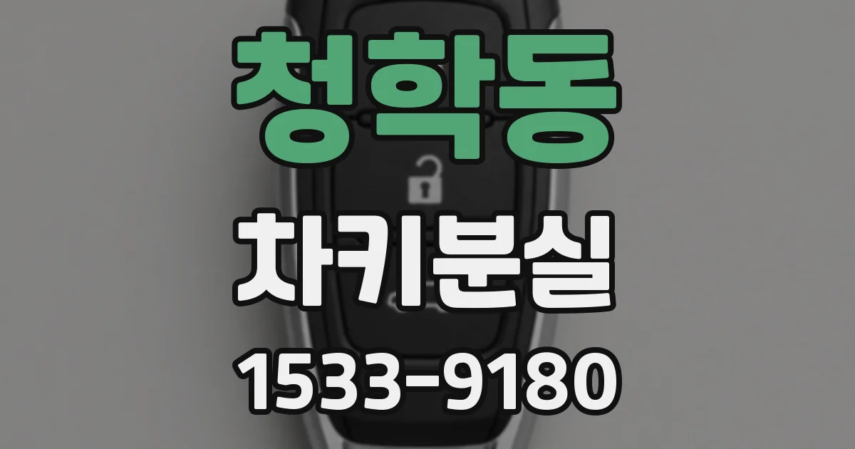청학동 차키분실