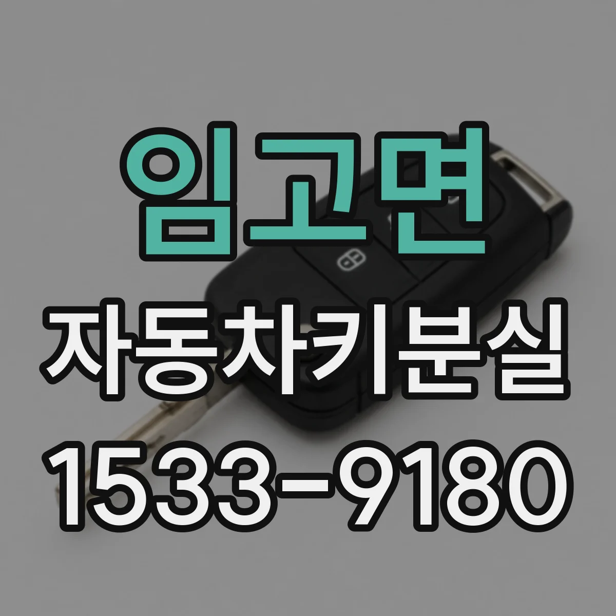 임고면 자동차키분실
