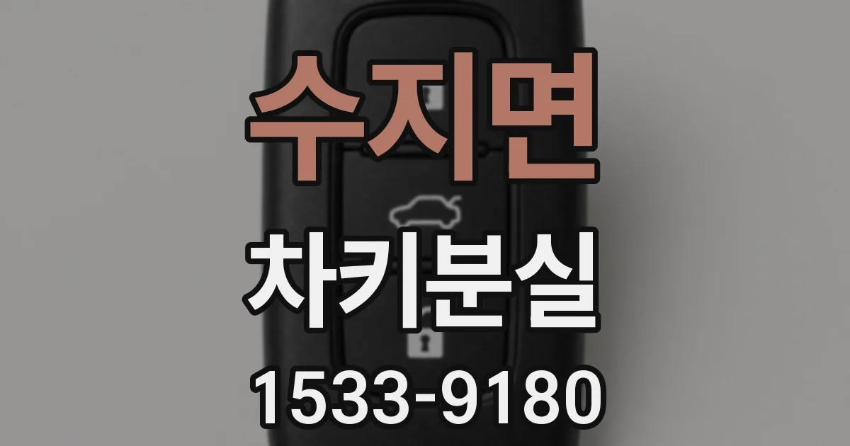 수지면 차키분실
