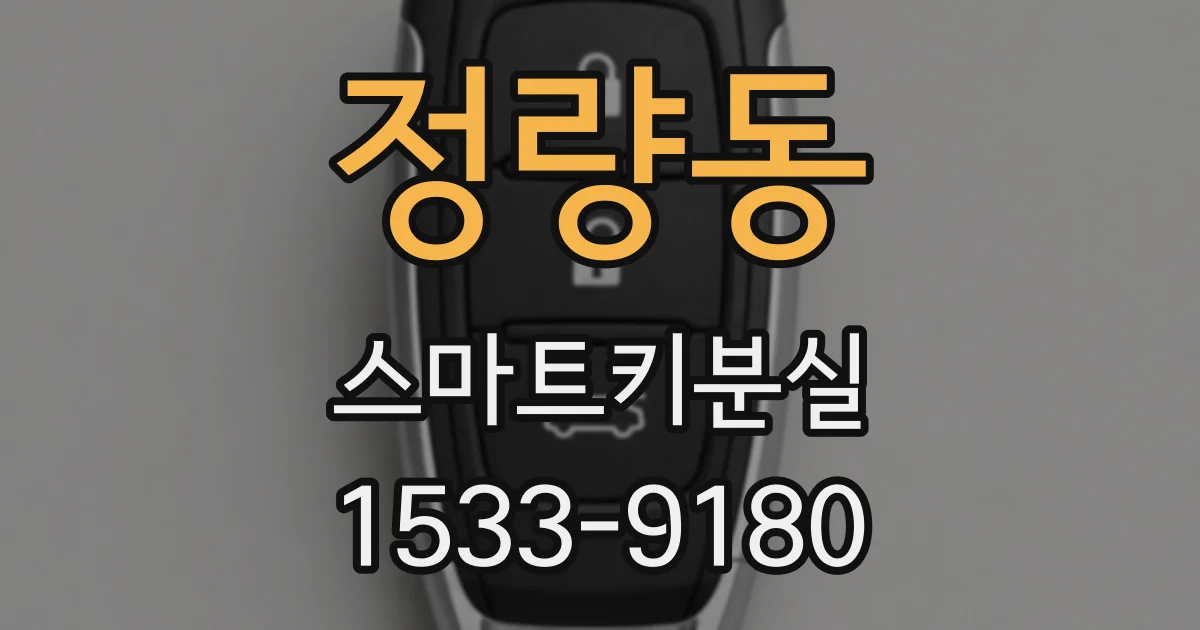 정량동 스마트키분실