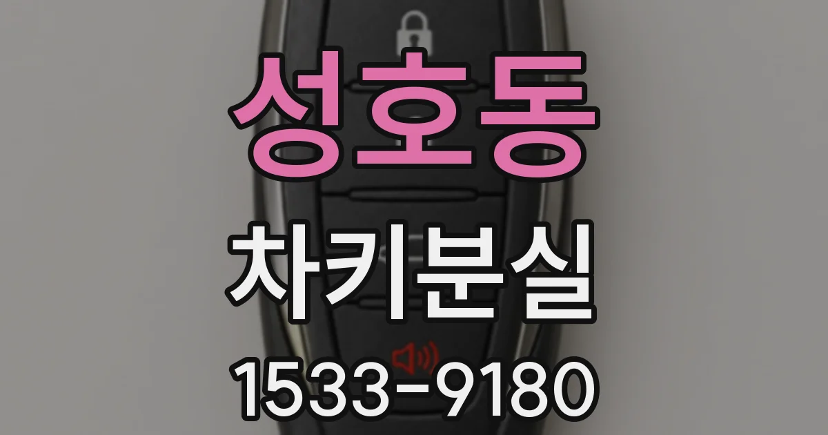 성호동 차키분실
