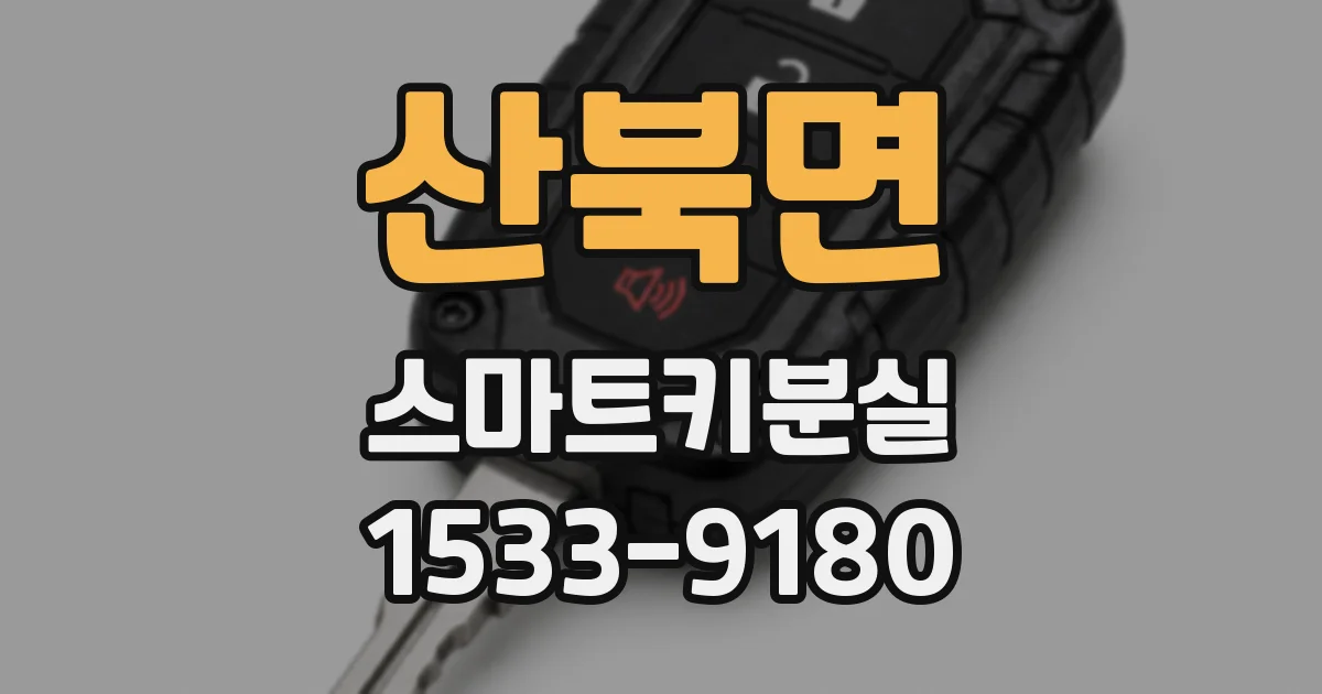 산북면 스마트키분실