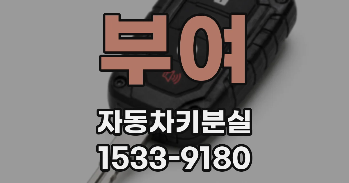 부여 자동차키분실