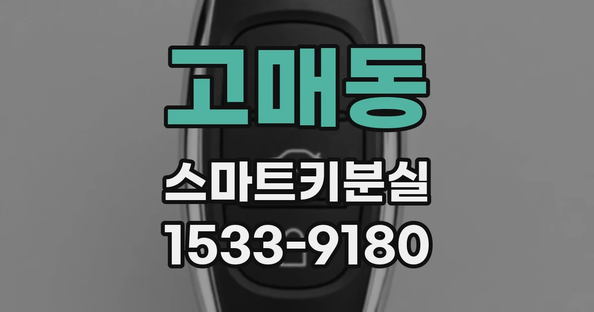 고매동 스마트키분실