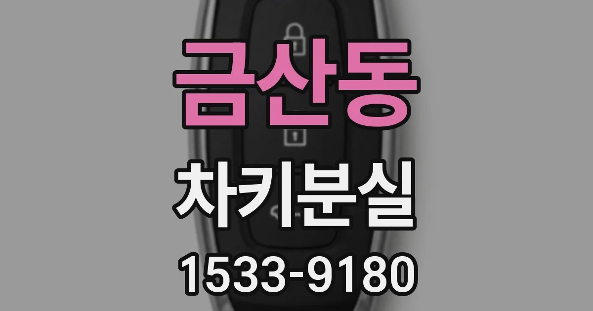 금산동 차키분실