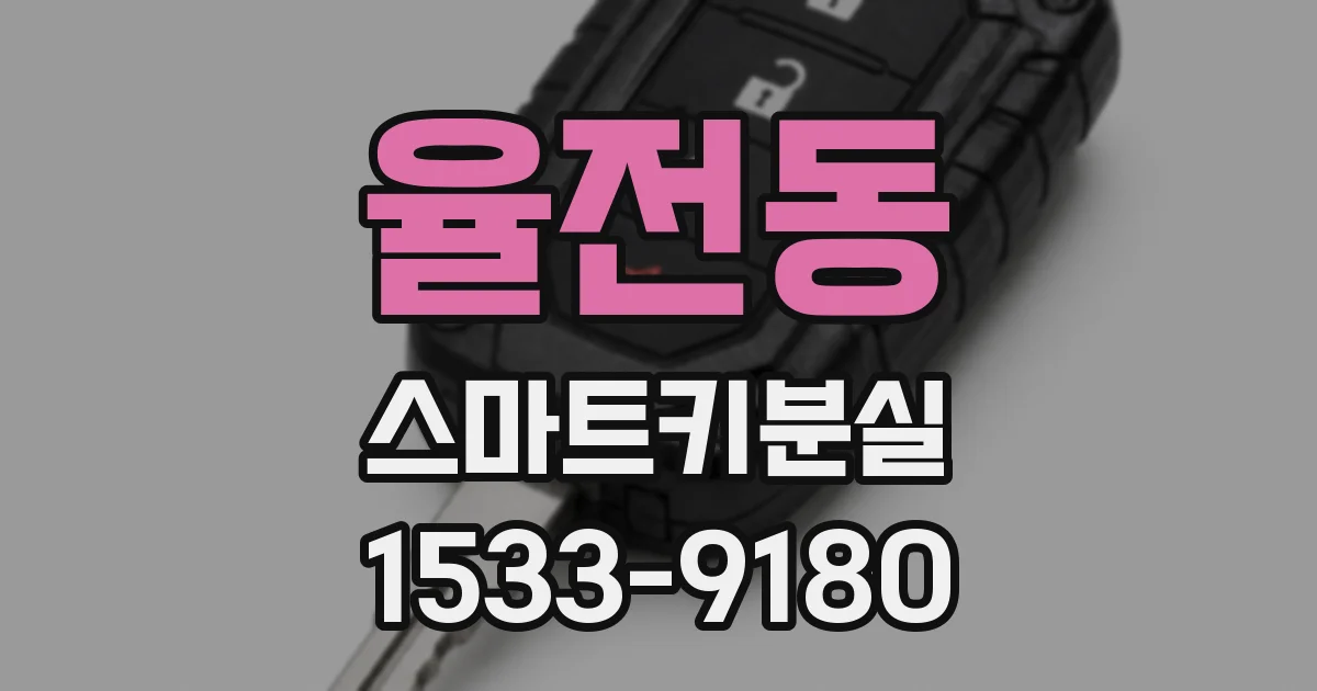 율전동 스마트키분실