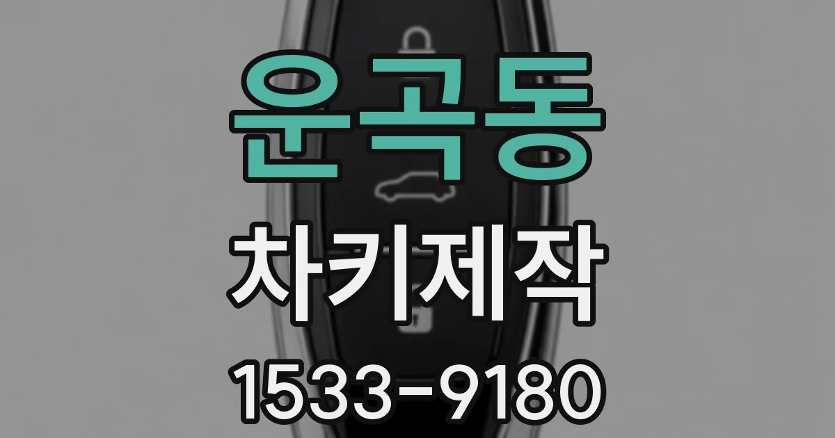 운곡동 차키제작