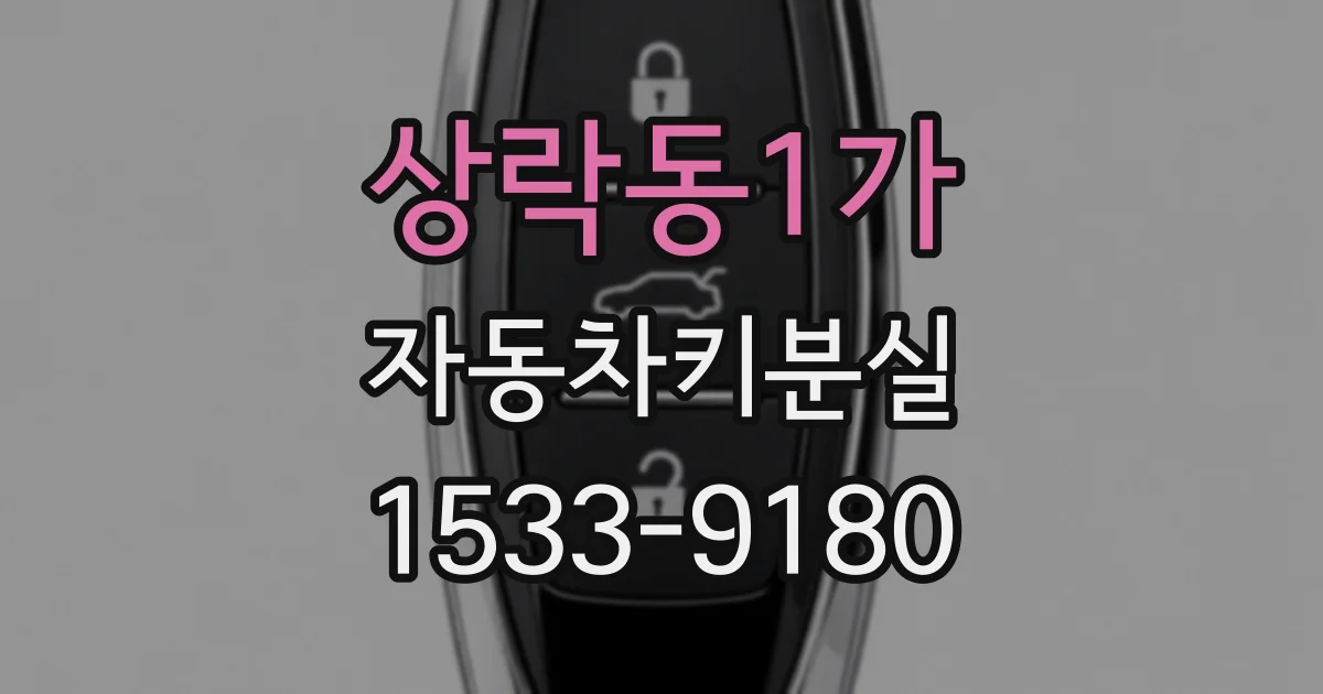 상락동1가 자동차키분실