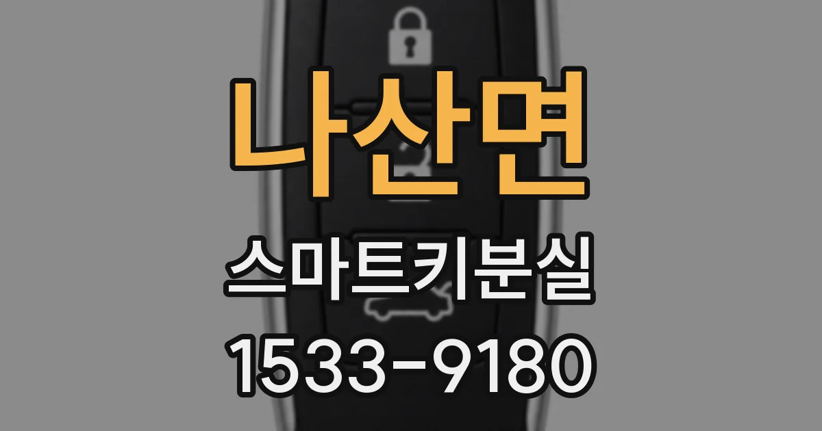 나산면 스마트키분실