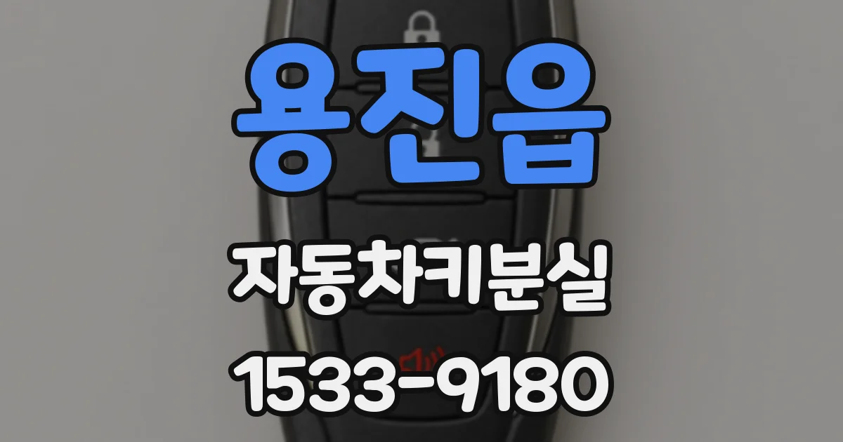 용진읍 자동차키분실