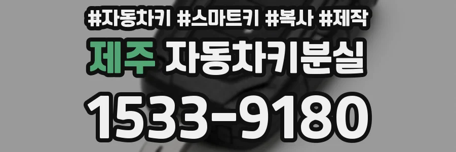 제주 자동차키분실