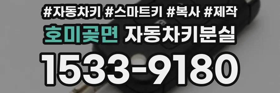 호미곶면 자동차키분실
