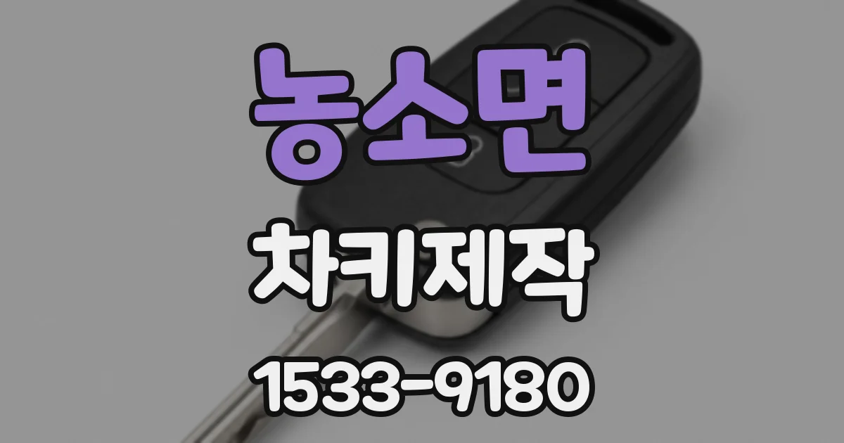 농소면 차키제작