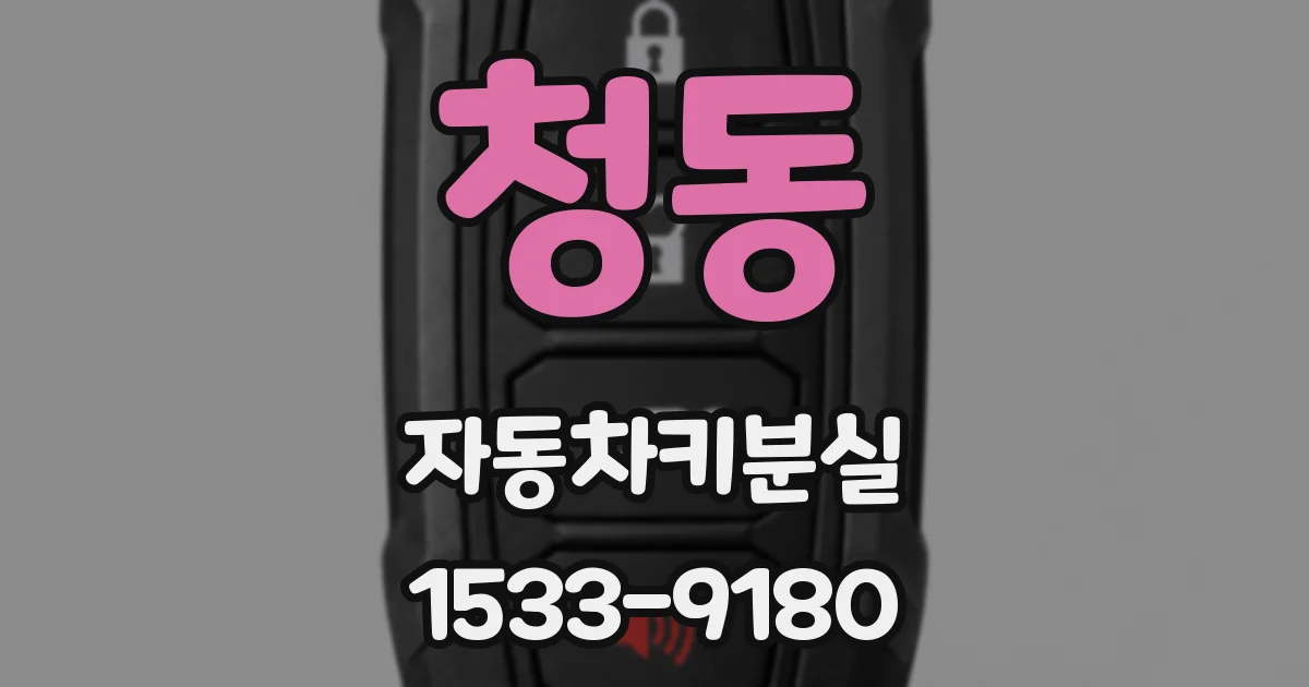 청동 자동차키분실