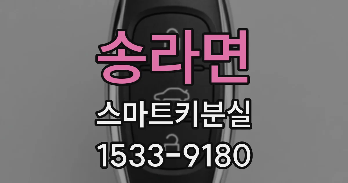 송라면 스마트키분실