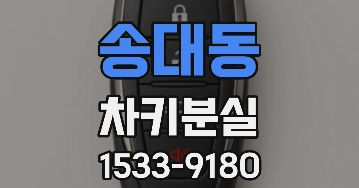 송대동 차키분실