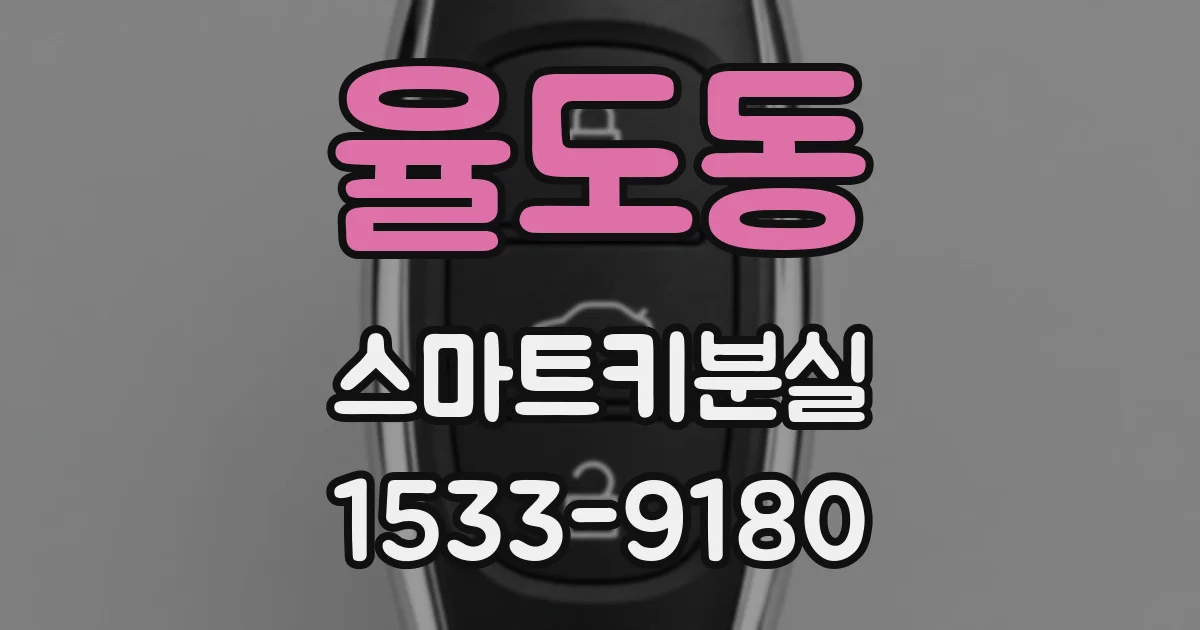 율도동 스마트키분실