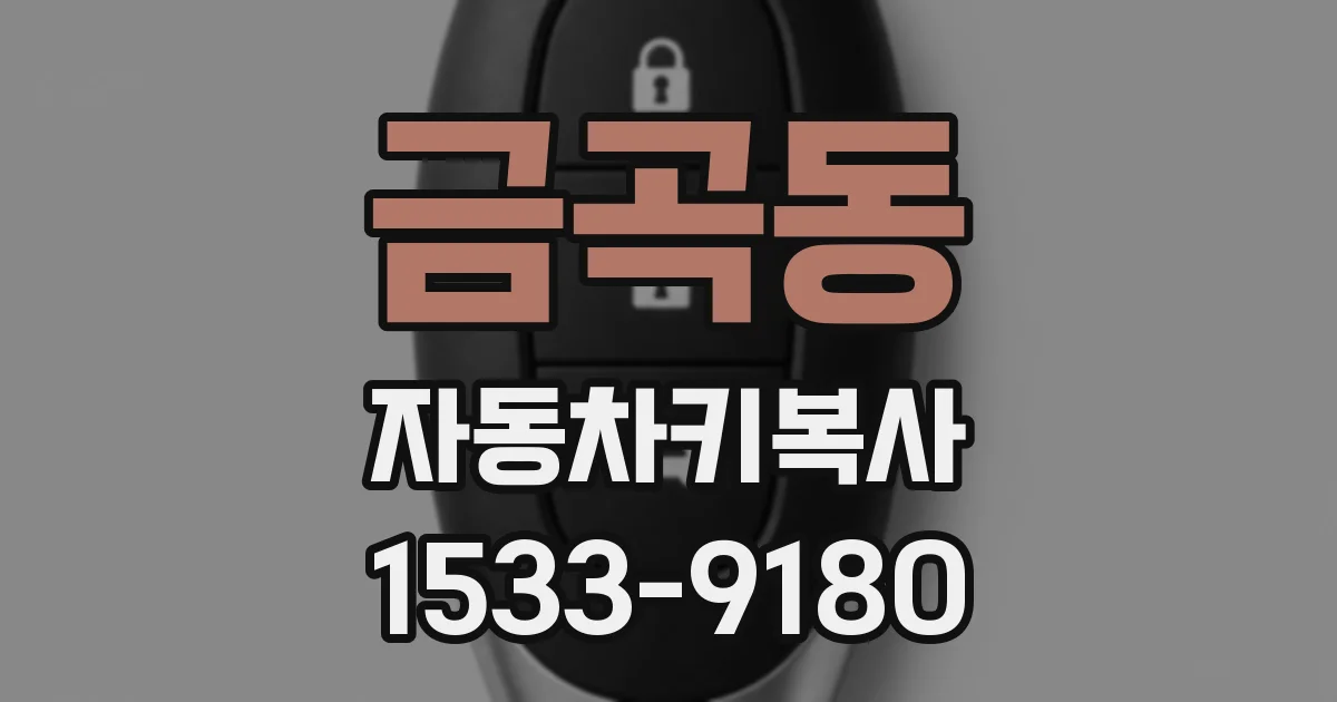 금곡동 자동차키복사