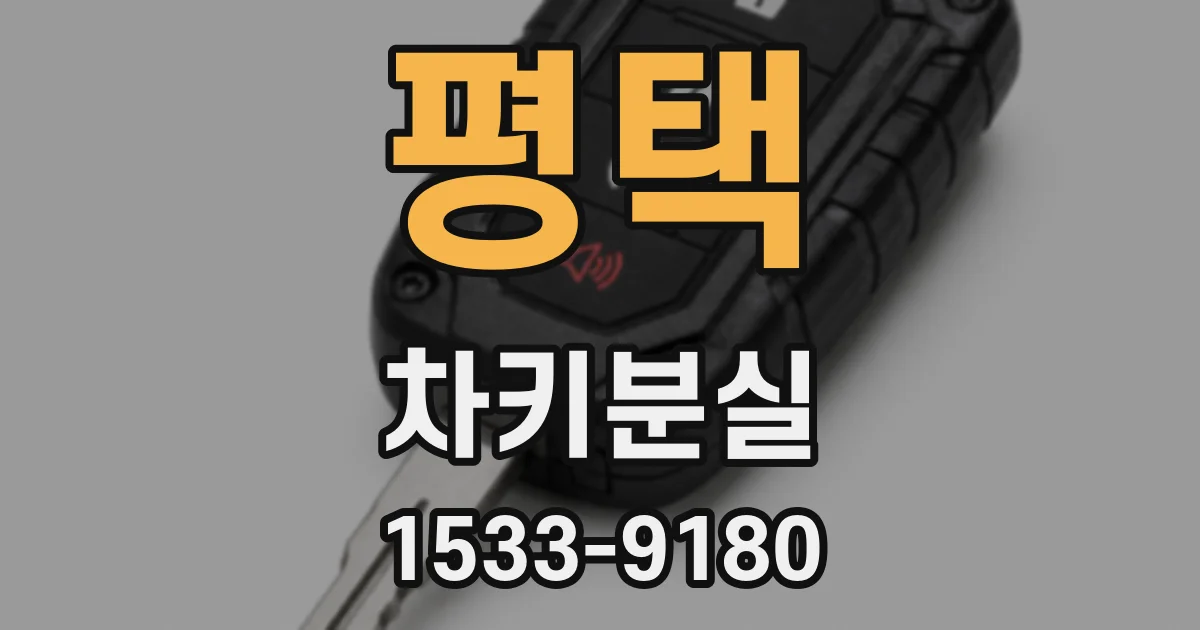 평택 차키분실